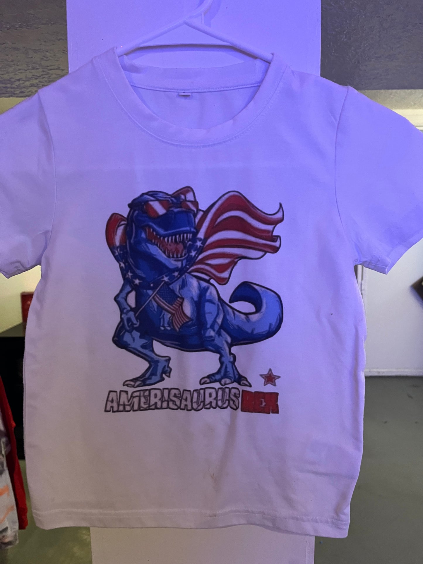 Youth small 4th July Dino