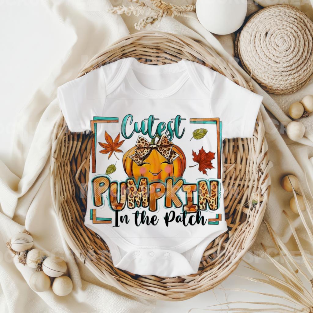 Cutest pumkin in the patch